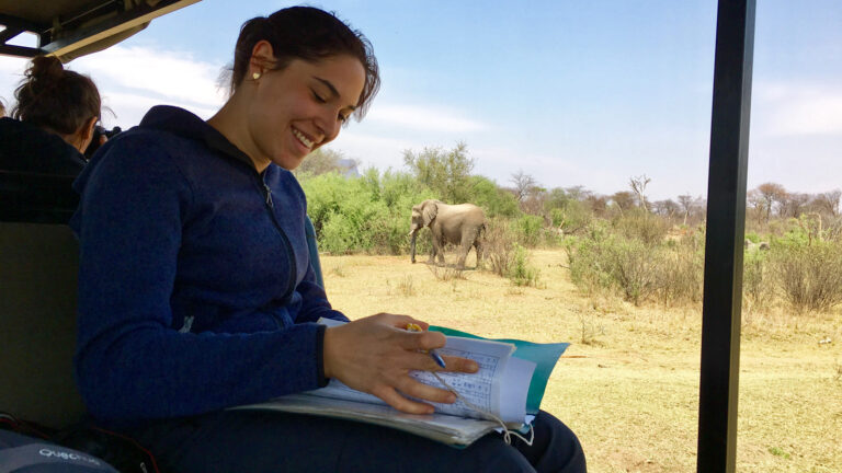 Freiwilligenarbeit in Südafrika: Big Five Projekt traveljunkies