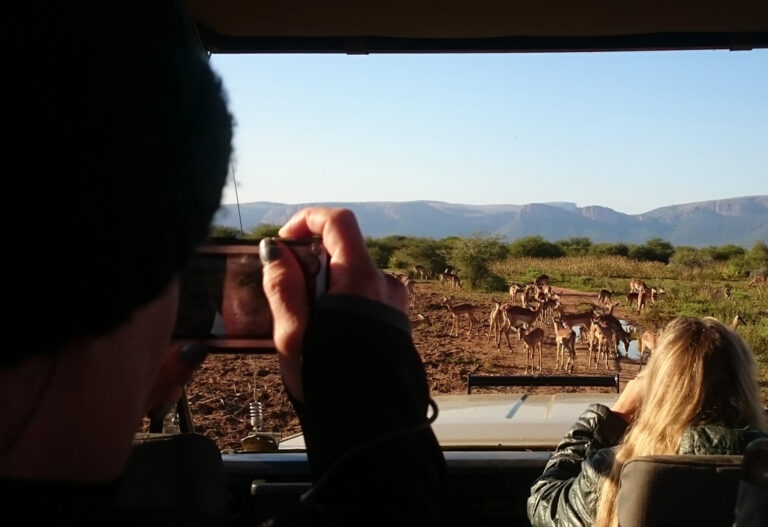 Faszinierende Safarierlebnisse