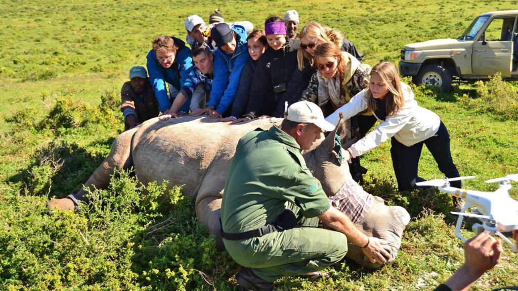 Freiwilligenarbeit: Wildtierreservat in Südafrika traveljunkies