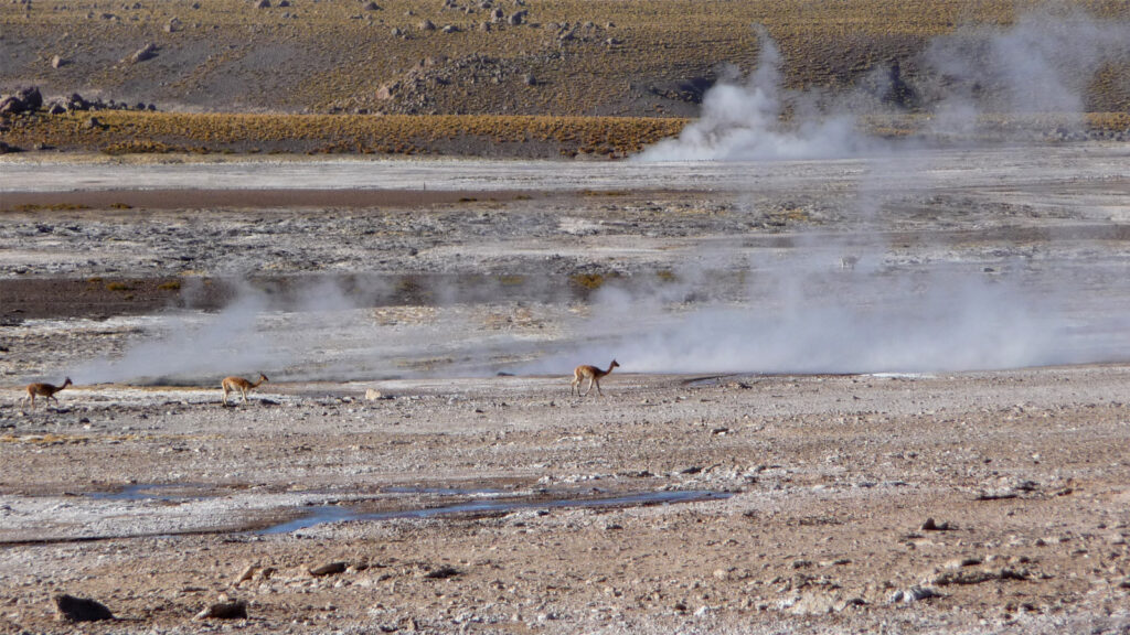 Bolivien Reise für junge Leute traveljunkies