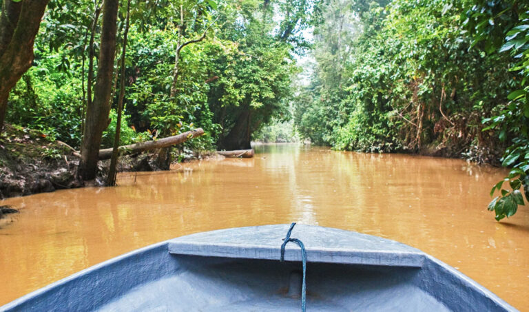 Bug eines Bootes auf dem Kinabatangan-Fluss