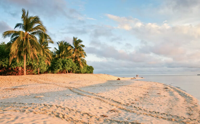 Strand mit Palmen
