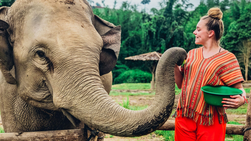 Abenteuerreise durch Nordthailand traveljunkies