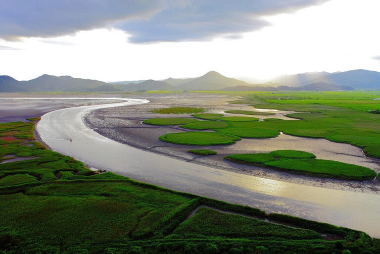 Das Suncheonman Bay Wetland Reserve