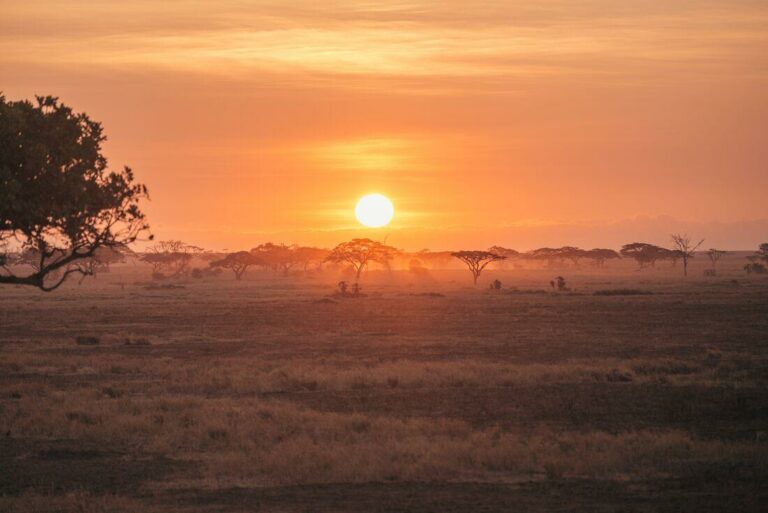 Den Sonnenuntergang in der Serengeti erleben