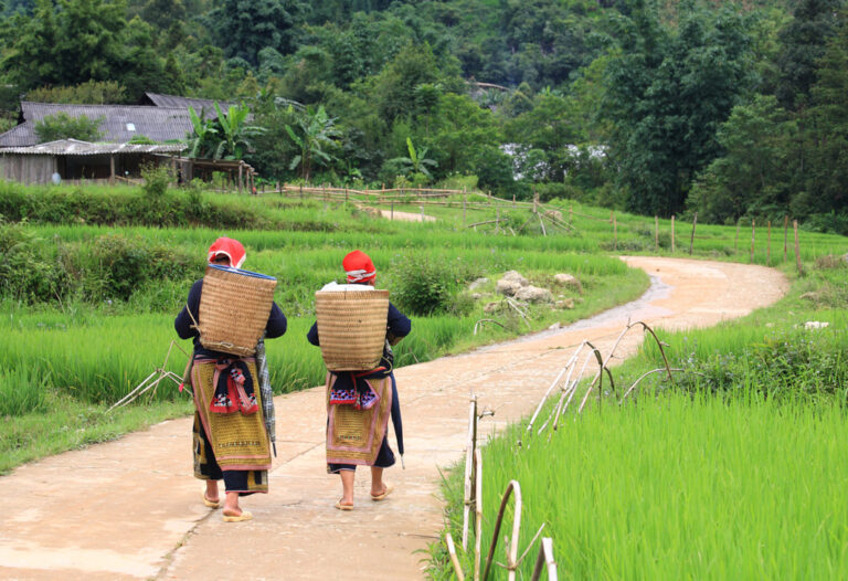 Die Lebensweise der Hmong kennenlernen