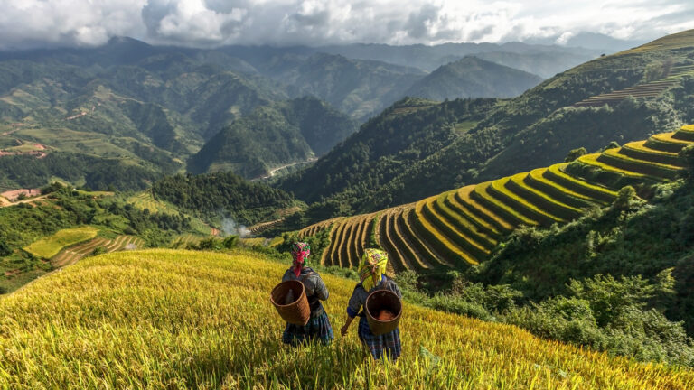 Vietnam Urlaub mal anders traveljunkies