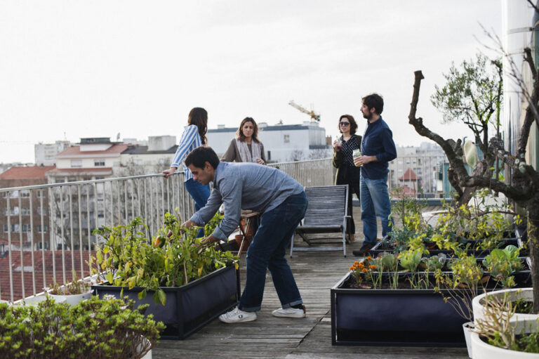 In der Stadt kann man Dachterrassen zum Anpflanzen nutzen