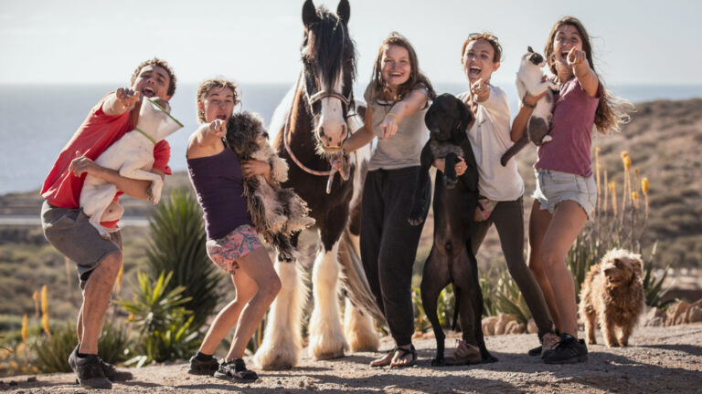Freiwilligenarbeit: Tierschutz-Projekt auf Teneriffa traveljunkies