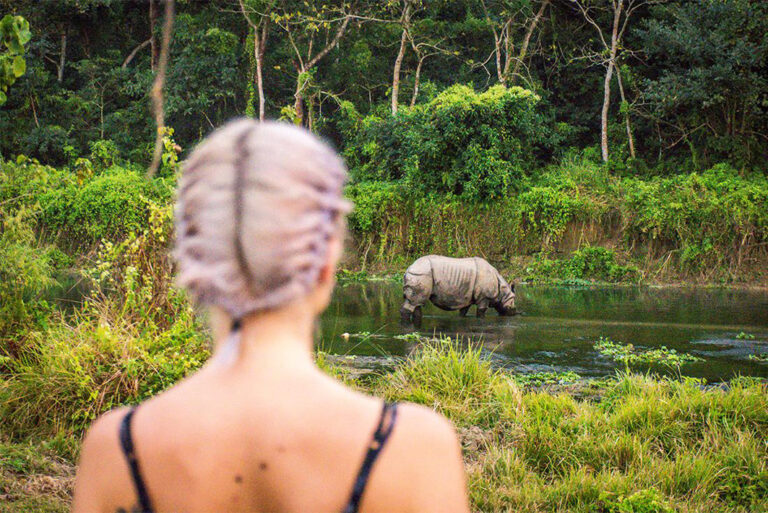 Panzernashorn im Chitwan Nationalpark