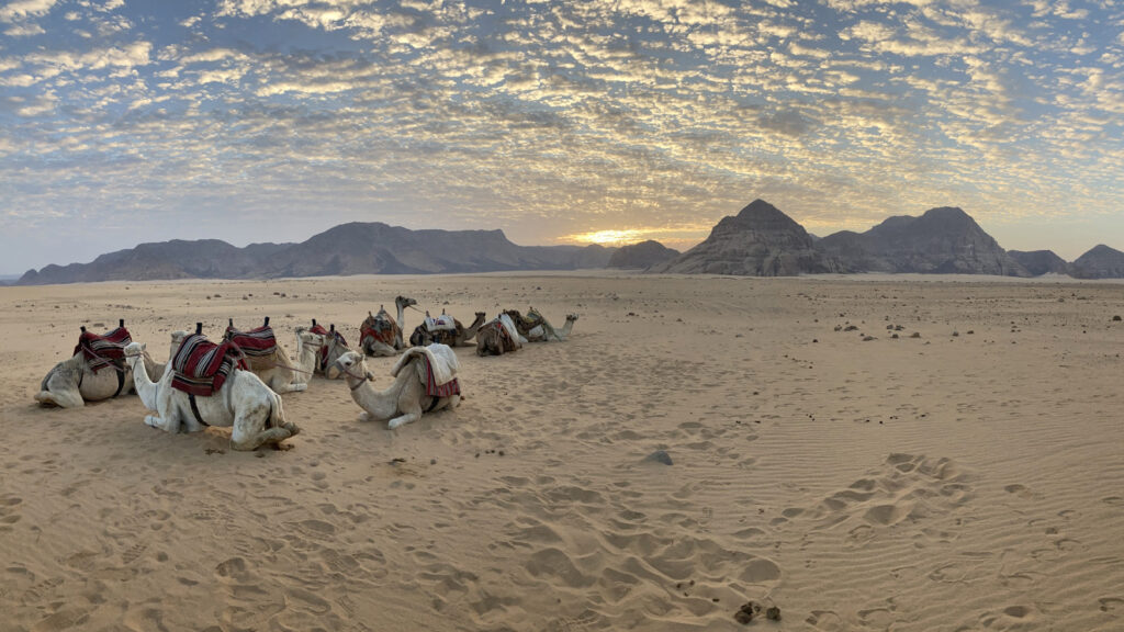 Jordanien & Israel Reise für junge Leute traveljunkies