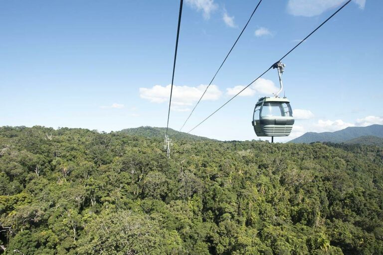 Mit der Skyrail über den Regenwald