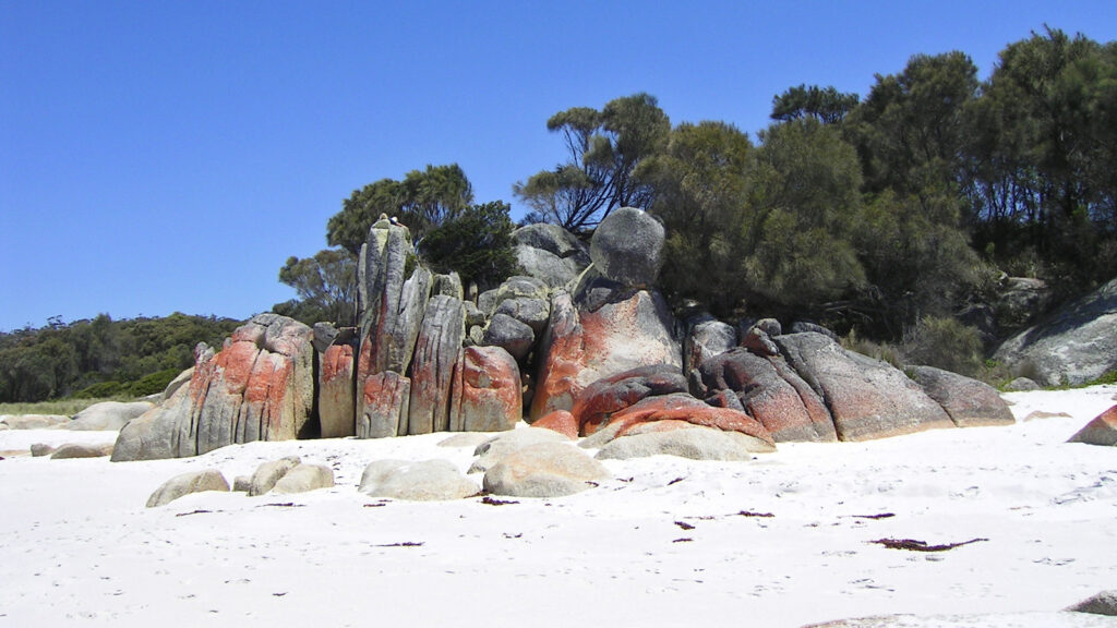Höhepunkte von Tasmanien traveljunkies