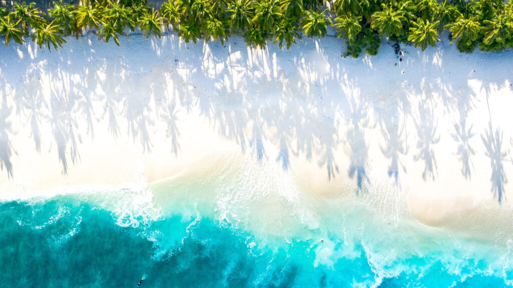 Malediven Party & Abenteuer traveljunkies