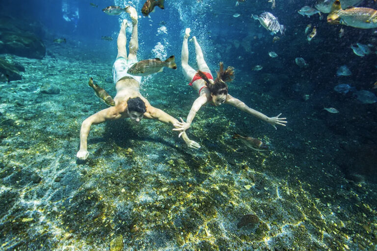 Die Unterwasserwelt in den Höhlen erforschen