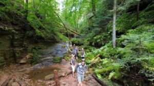 Teammitglieder traveljunkies GmbH