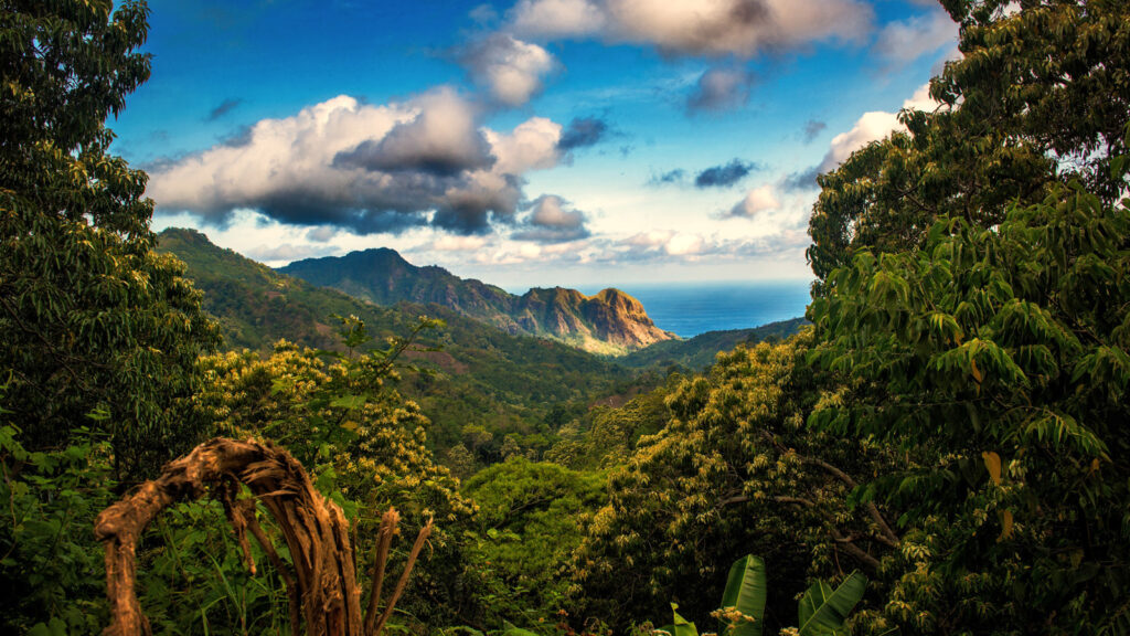 Indonesien ultimative Erlebnisreise - von Sumatra zu den Komodowaranen traveljunkies