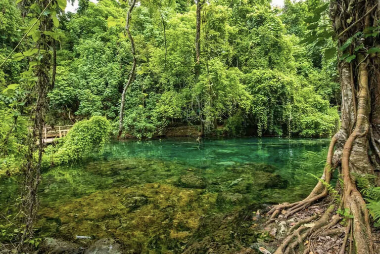 Unberührte Natur