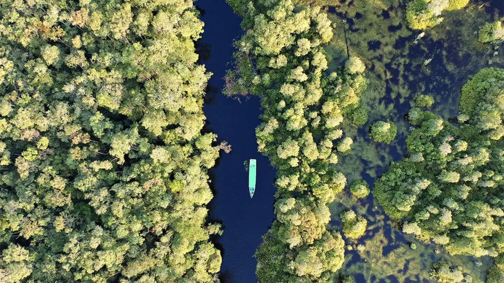 Indonesien Wildtier-Expedition – Orang-Utans von Kalimantan traveljunkies