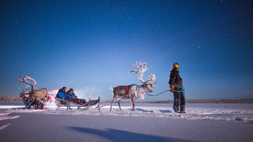 Polarlichter pur traveljunkies