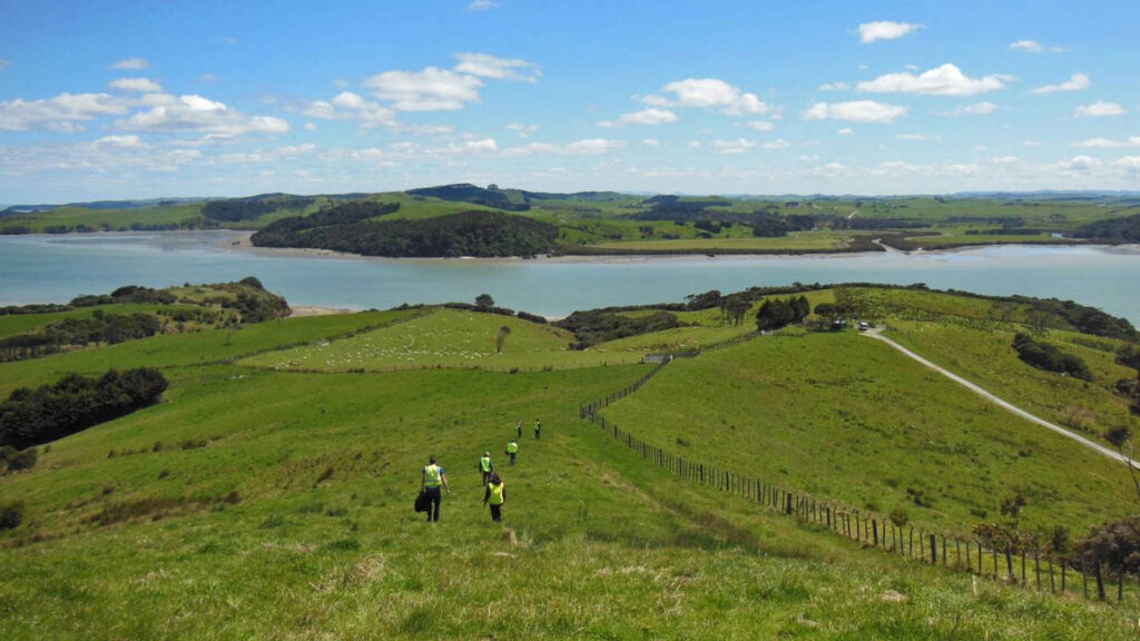 Freiwilligenarbeit in Neuseeland: Artenschutz in Auckland traveljunkies