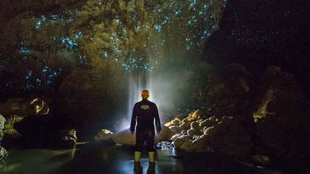 Naturwunder Neuseeland (nordwärts) traveljunkies