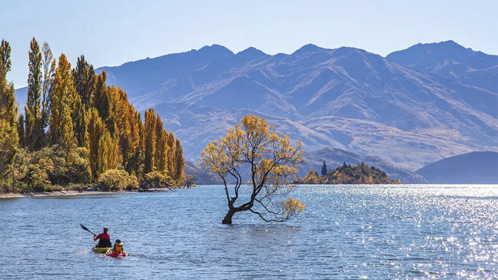 Neuseeland Südinsel Express-Rundreise traveljunkies