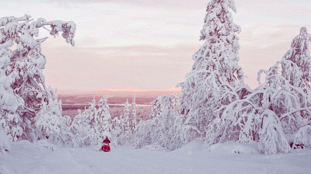 Schneebedeckte Wnterlandschaft bei Dämmerung