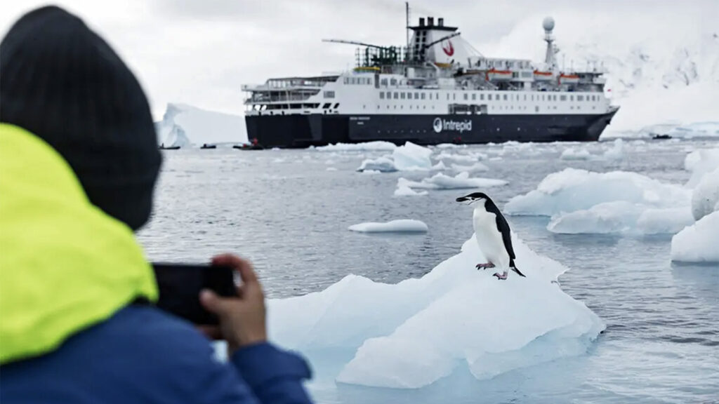 Antarktis-Reise bis zum Südpolarkreis traveljunkies