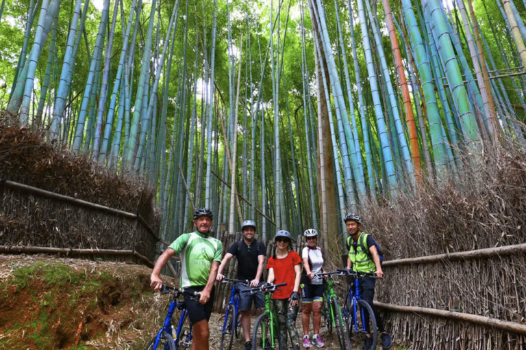 Im Bambuswald Arashiyama