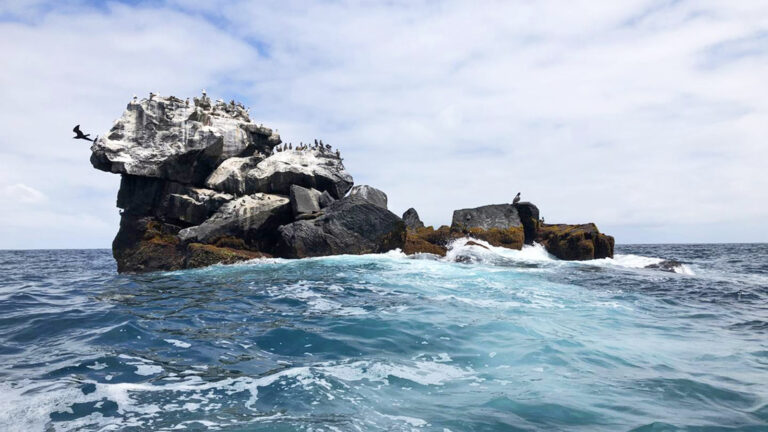 Bootabenteuer im Galápagos-Archipel: die südlichen und östlichen Inseln traveljunkies
