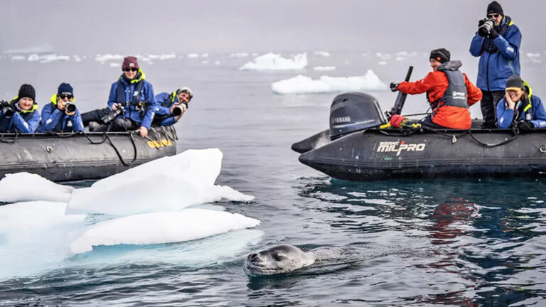 Das Beste der Antarktis - ausführlich traveljunkies
