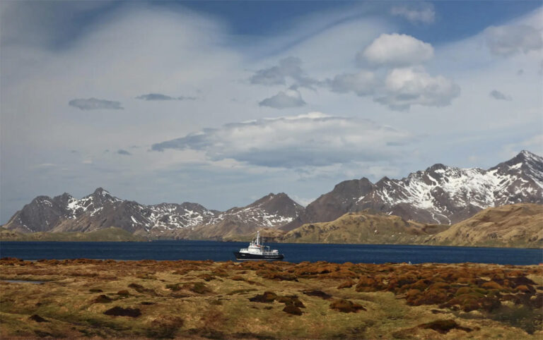 Atemberaubende Natur der Falklandinseln