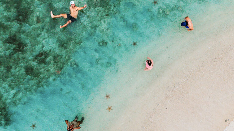 Sandbank mit Seesternen