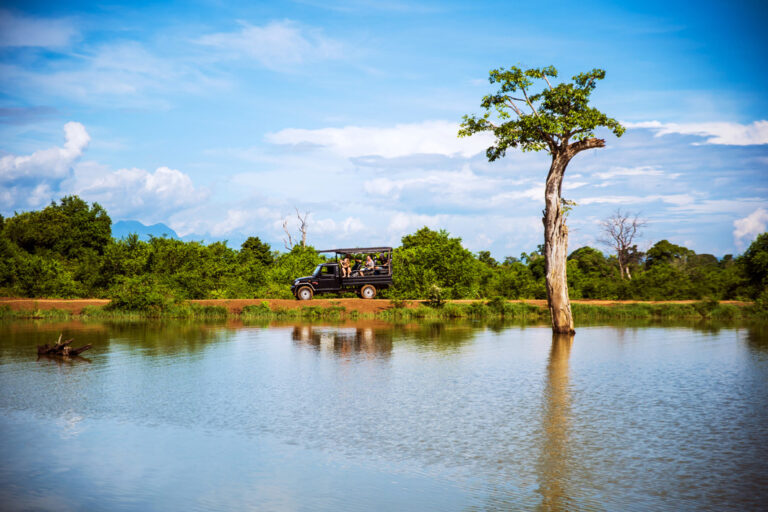 Auf Safari in Udawalawe