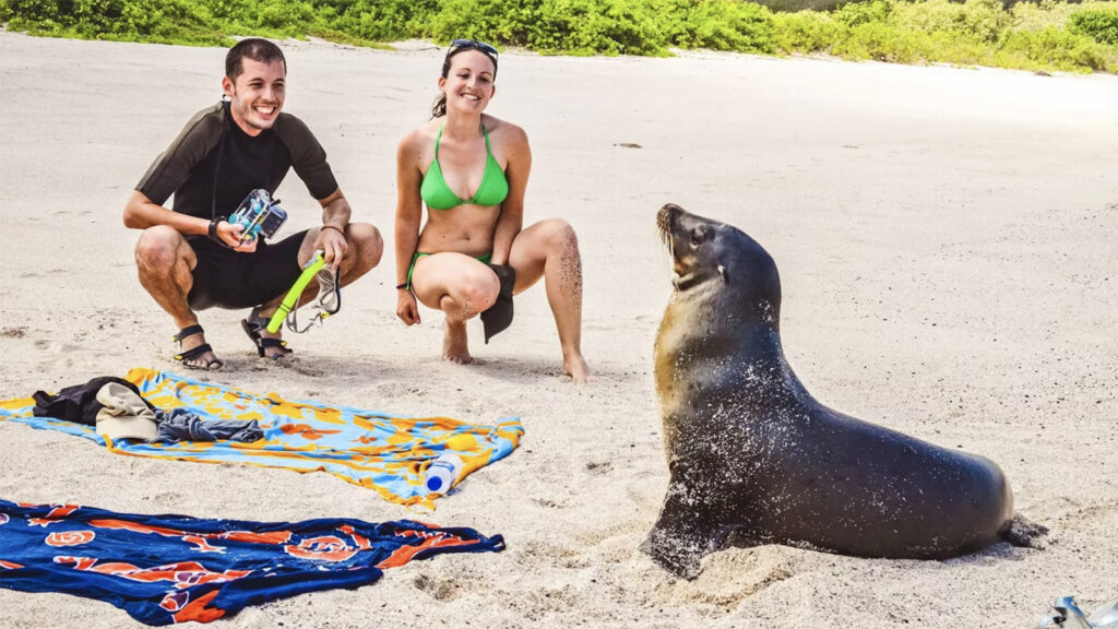 Galapagosinseln – Island Hopping im Naturparadies traveljunkies