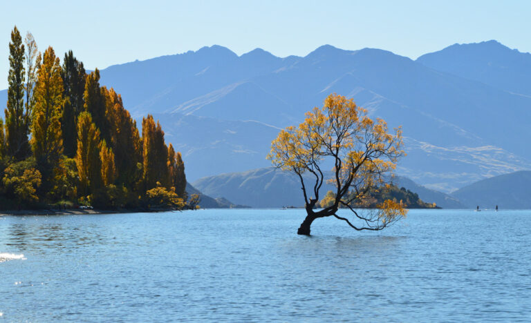 Malerischer Lake Wanaka