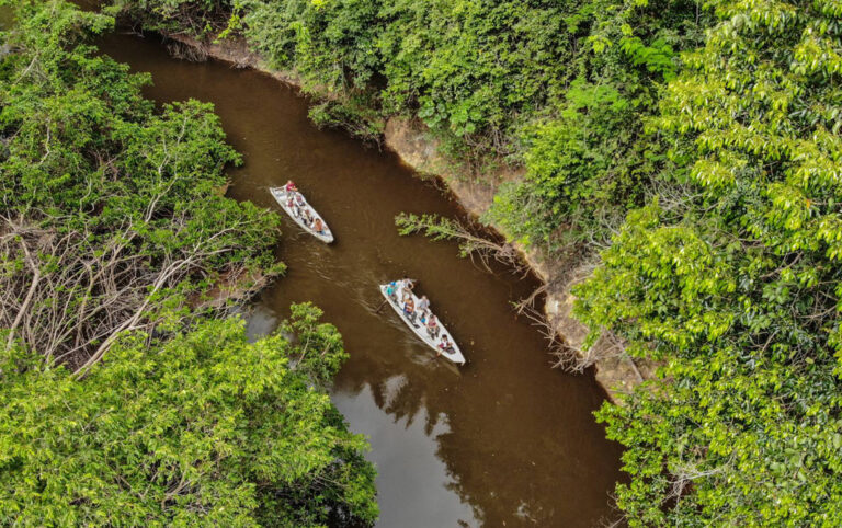 Boote auf Fluss im Dschungel von oben