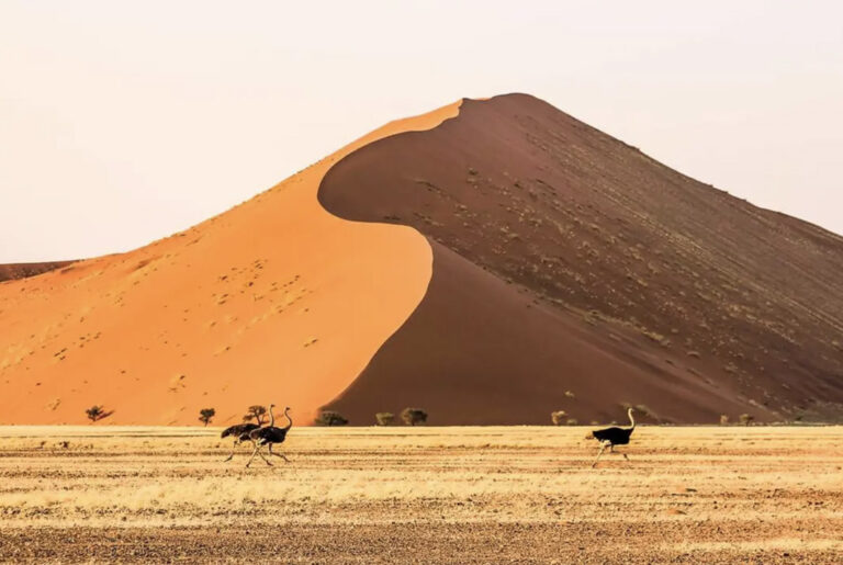 Riesige Sanddünen