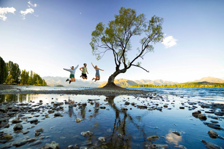 Der brühmte Weide im Lake Wanaka
