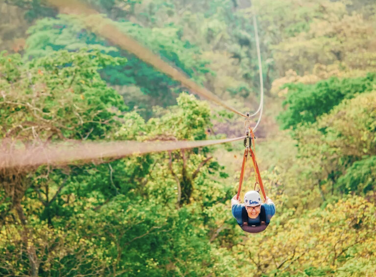 Beim Ziplining über die Baumwipfel fliegen