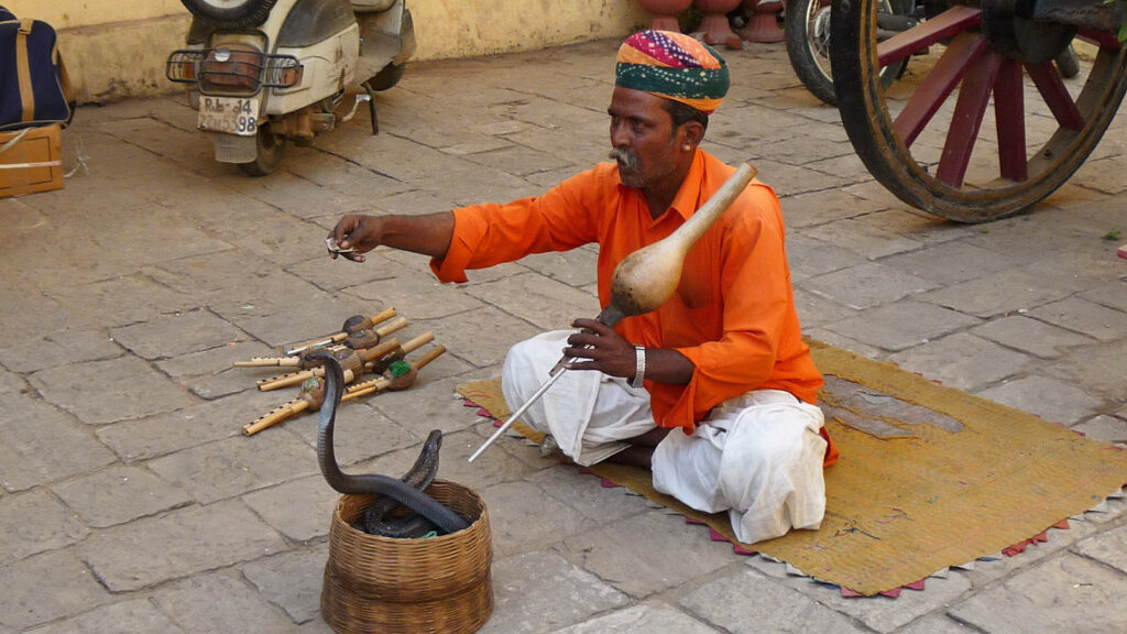 Schlangenbeschwörer