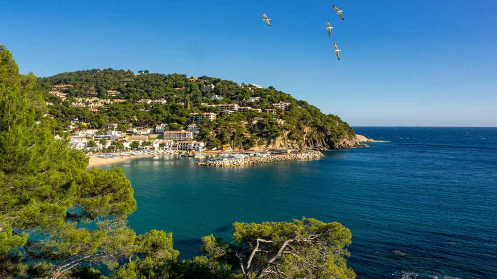 Bucht Llafranc, Spanien
