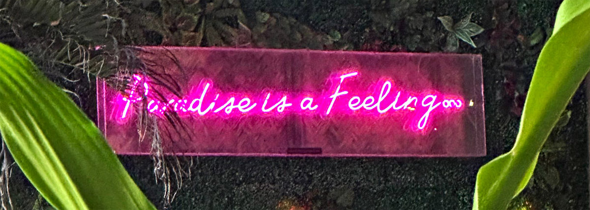 Schild mit der Aufschrift Paradise is a Feeling