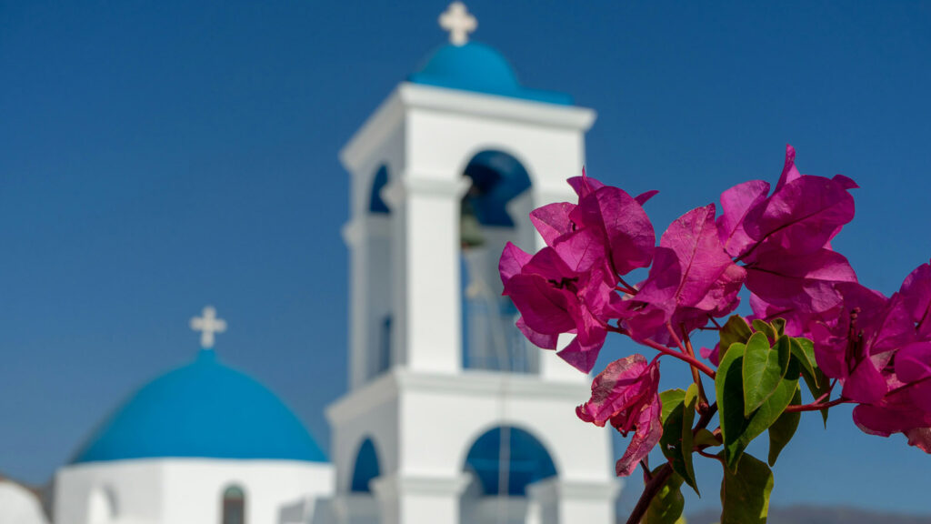 Weißer Kirchturm mit blauem Kuppeldach und pinker Blume im Vordergrund