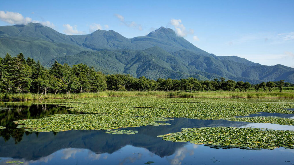 Grüne Berge hinter seerosenbedecktem See