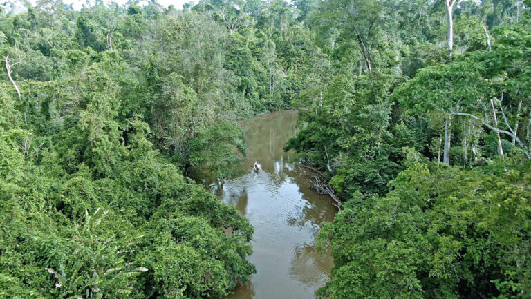 Fluss und grüne Natur im Naturreservat Indio Maiz