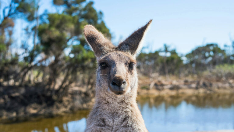 Australien