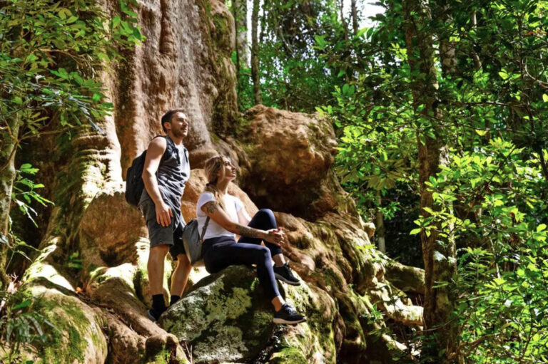 Wanderer Pärchen auf Baumwurzel im Lamington Nationalpark