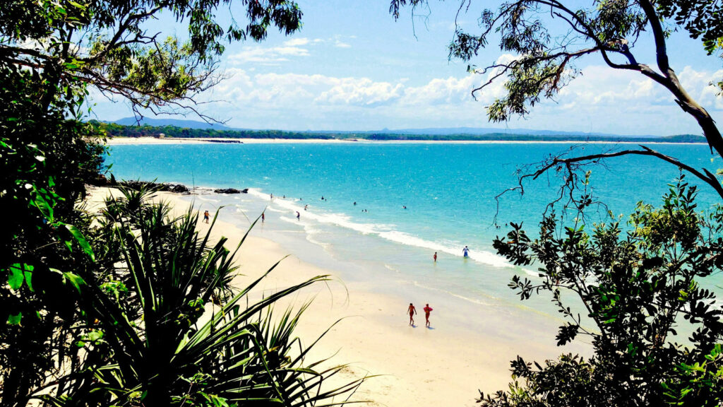 Blick zwischen Bäumen auf den Strand in Noosa